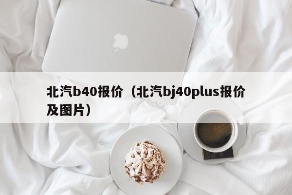 北汽b40报价（北汽bj40plus报价及图片）