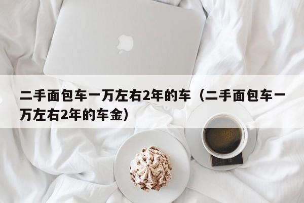 二手面包车一万左右2年的车（二手面包车一万左右2年的车金）