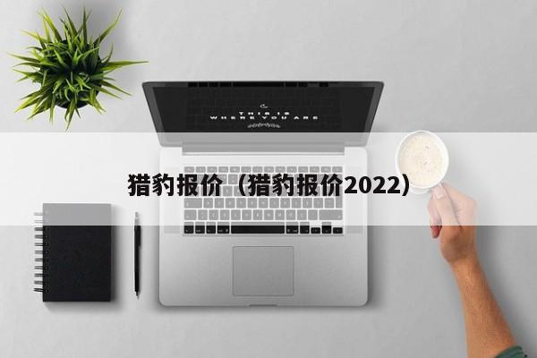 猎豹报价（猎豹报价2022）