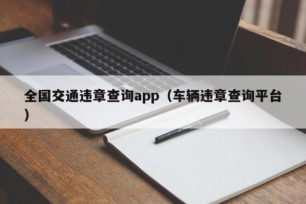 全国交通违章查询app（车辆违章查询平台）