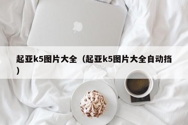 起亚k5图片大全（起亚k5图片大全自动挡）