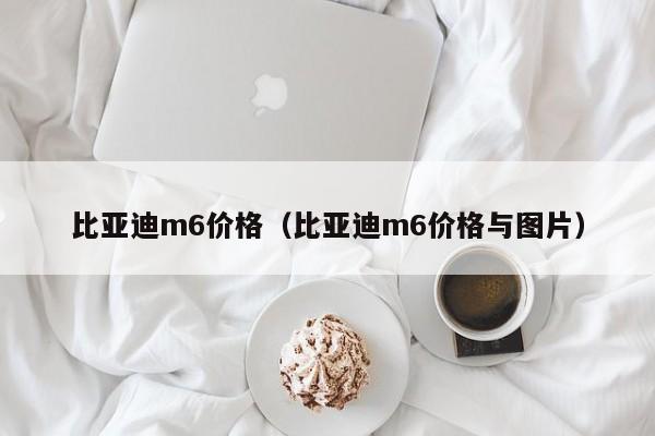 比亚迪m6价格（比亚迪m6价格与图片）