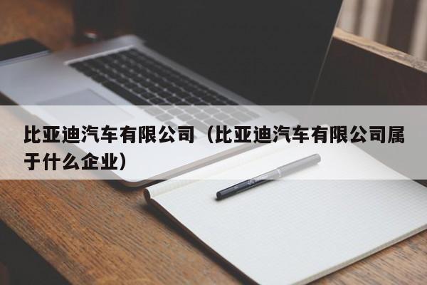 比亚迪汽车有限公司（比亚迪汽车有限公司属于什么企业）