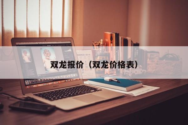 双龙报价（双龙价格表）