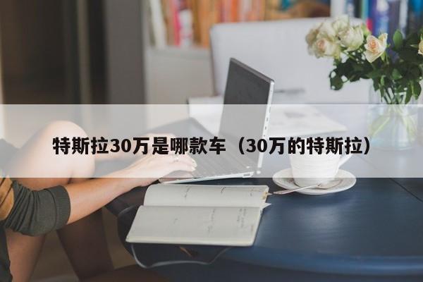 特斯拉30万是哪款车（30万的特斯拉）