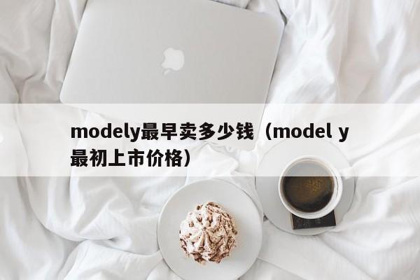 modely最早卖多少钱（model y最初上市价格）