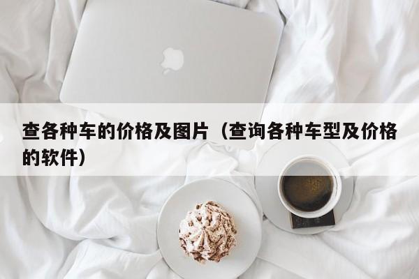 查各种车的价格及图片（查询各种车型及价格的软件）