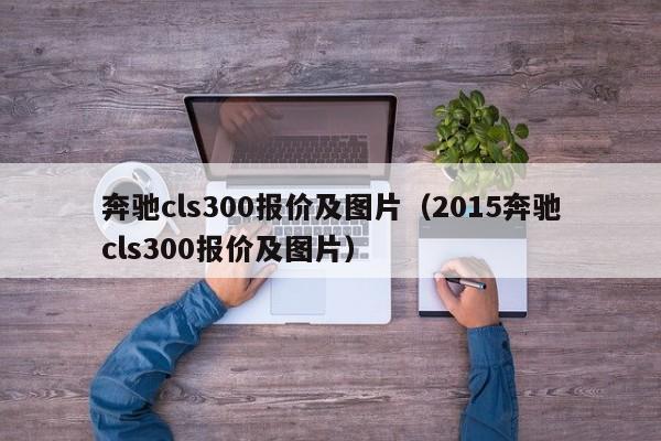 奔驰cls300报价及图片（2015奔驰cls300报价及图片）