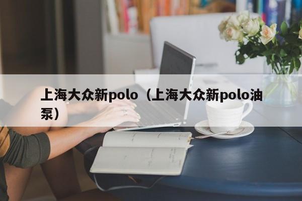 上海大众新polo（上海大众新polo油泵）