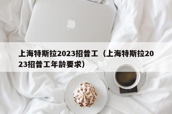 上海特斯拉2023招普工（上海特斯拉2023招普工年龄要求）