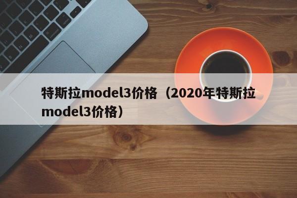 特斯拉model3价格（2020年特斯拉model3价格）