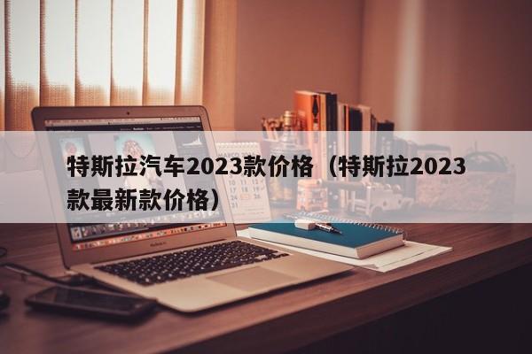 特斯拉汽车2023款价格（特斯拉2023款最新款价格）