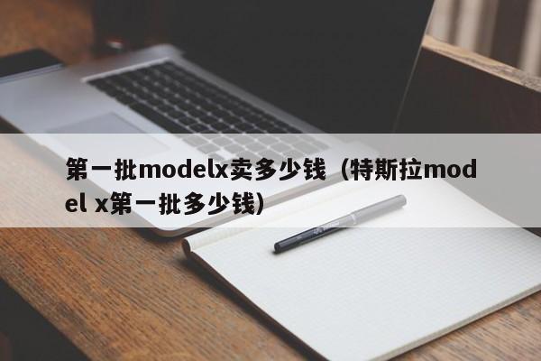 第一批modelx卖多少钱（特斯拉model x第一批多少钱）