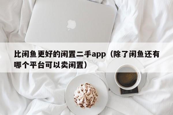 比闲鱼更好的闲置二手app（除了闲鱼还有哪个平台可以卖闲置）