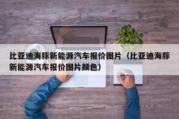 比亚迪海豚新能源汽车报价图片（比亚迪海豚新能源汽车报价图片颜色）