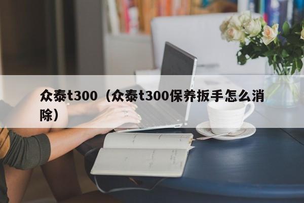 众泰t300（众泰t300保养扳手怎么消除）