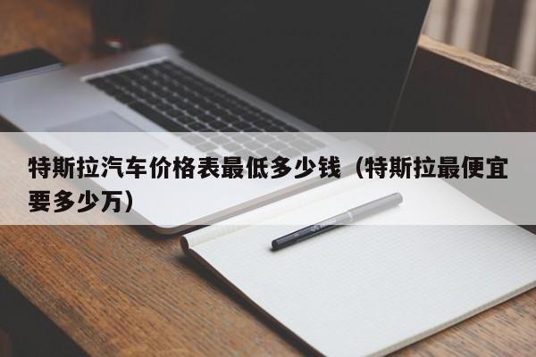 特斯拉汽车价格表最低多少钱（特斯拉最便宜要多少万）