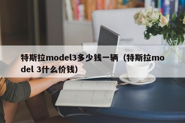 特斯拉model3多少钱一辆（特斯拉model 3什么价钱）