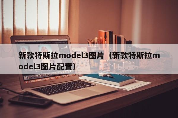 新款特斯拉model3图片（新款特斯拉model3图片配置）