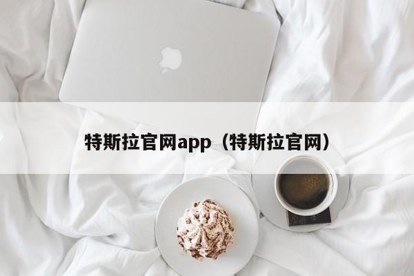 特斯拉官网app（特斯拉官网）