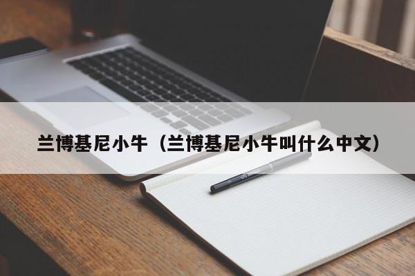 兰博基尼小牛（兰博基尼小牛叫什么中文）