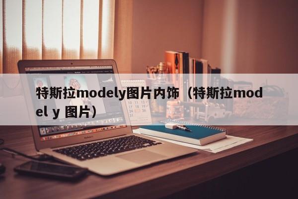 特斯拉modely图片内饰（特斯拉model y 图片）