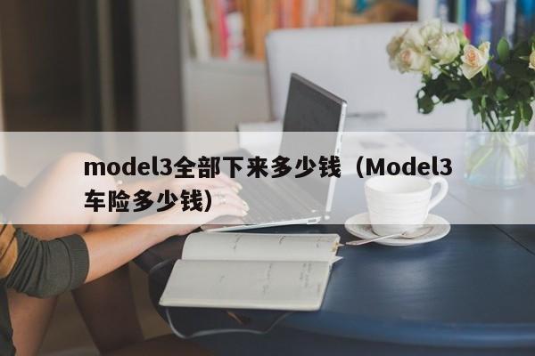 model3全部下来多少钱（Model3车险多少钱）