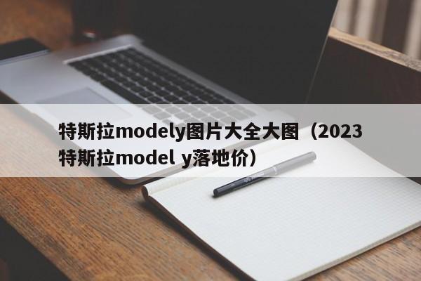 特斯拉modely图片大全大图（2023特斯拉model y落地价）