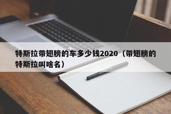 特斯拉带翅膀的车多少钱2020（带翅膀的特斯拉叫啥名）