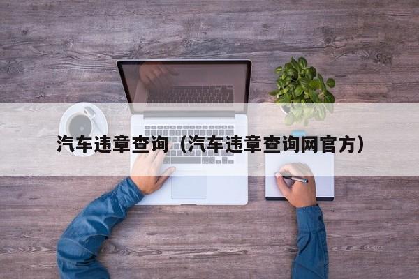 汽车违章查询（汽车违章查询网官方）