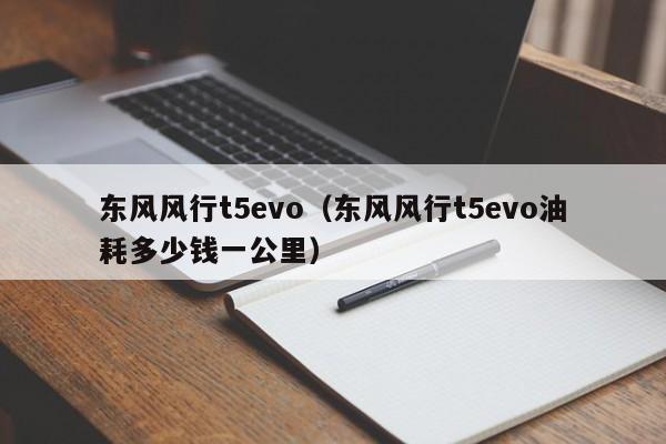 东风风行t5evo（东风风行t5evo油耗多少钱一公里）