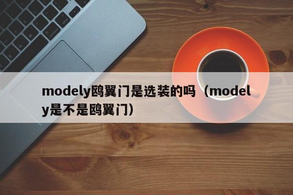 modely鸥翼门是选装的吗（modely是不是鸥翼门）