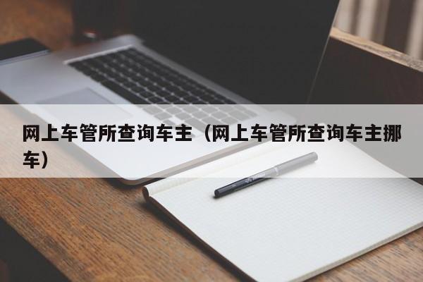 网上车管所查询车主（网上车管所查询车主挪车）