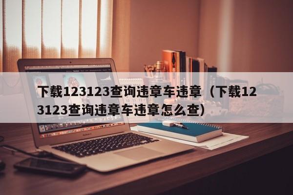 下载123123查询违章车违章（下载123123查询违章车违章怎么查）