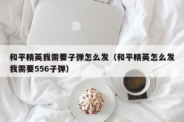 和平精英我需要子弹怎么发（和平精英怎么发我需要556子弹）