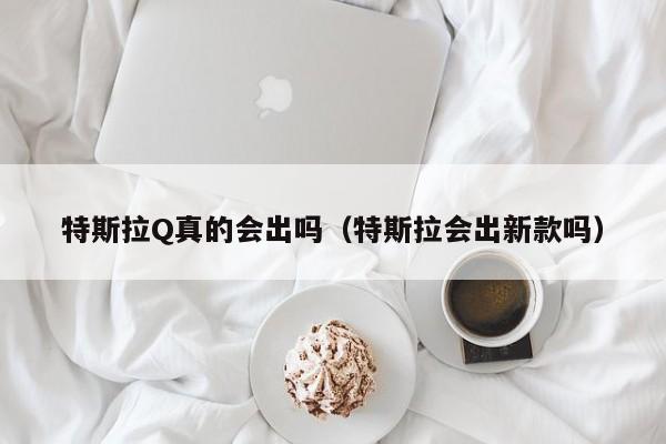 特斯拉Q真的会出吗（特斯拉会出新款吗）