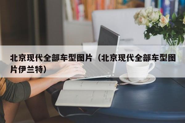 北京现代全部车型图片（北京现代全部车型图片伊兰特）