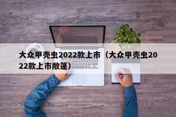 大众甲壳虫2022款上市（大众甲壳虫2022款上市敞篷）