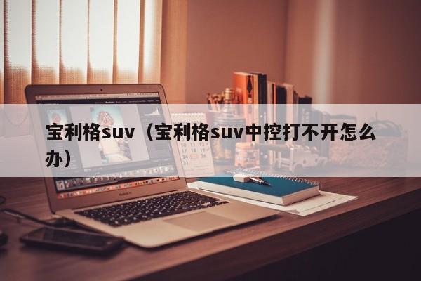 宝利格suv（宝利格suv中控打不开怎么办）