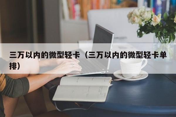 三万以内的微型轻卡（三万以内的微型轻卡单排）