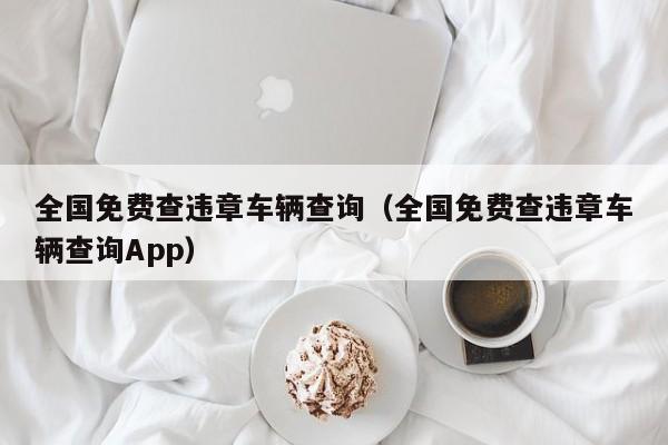 全国免费查违章车辆查询（全国免费查违章车辆查询App）