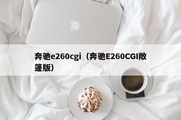 奔驰e260cgi（奔驰E260CGI敞篷版）