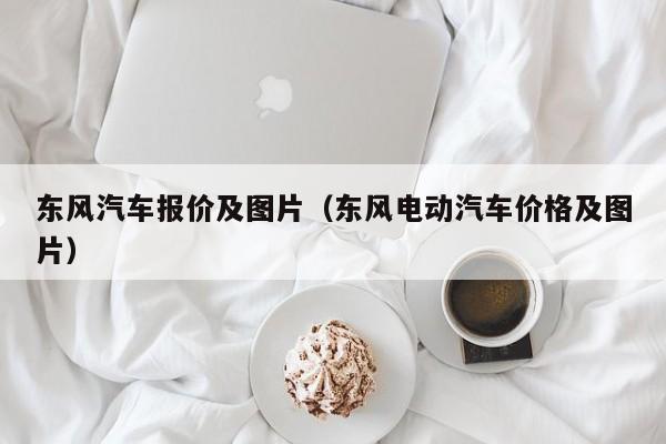 东风汽车报价及图片（东风电动汽车价格及图片）