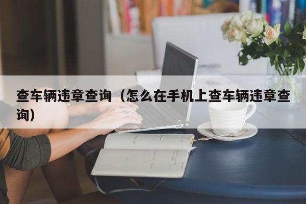 查车辆违章查询（怎么在手机上查车辆违章查询）