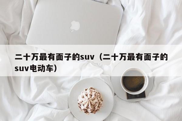 二十万最有面子的suv（二十万最有面子的suv电动车）