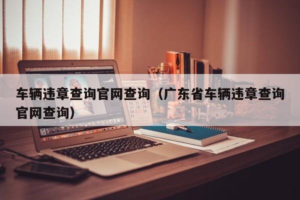 车辆违章查询官网查询（广东省车辆违章查询官网查询）