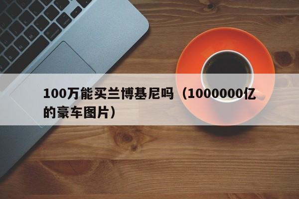 100万能买兰博基尼吗（1000000亿的豪车图片）