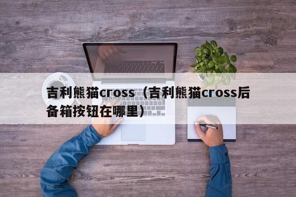 吉利熊猫cross（吉利熊猫cross后备箱按钮在哪里）