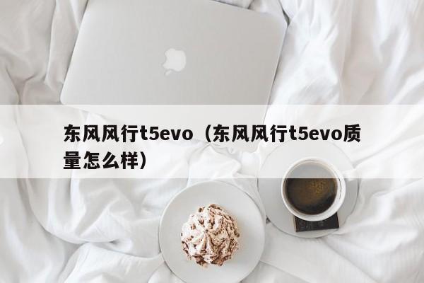 东风风行t5evo（东风风行t5evo质量怎么样）