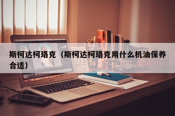 斯柯达柯珞克（斯柯达柯珞克用什么机油保养合适）